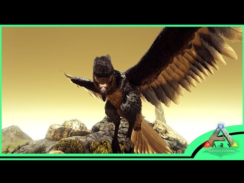 AND THE TAMING GRIND BEGINS! - Ark Survival Evolved  [Ep.5 The Island]