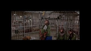 Video 5