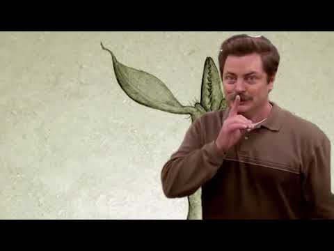 [All Tomorrows Meme] The Qu Admiring Their Creations