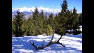 30 Second Jackson Hole Shed Hunt