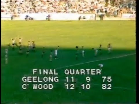 1981 Preliminary Final - Collingwood vs Geelong (Last Half) + highlights