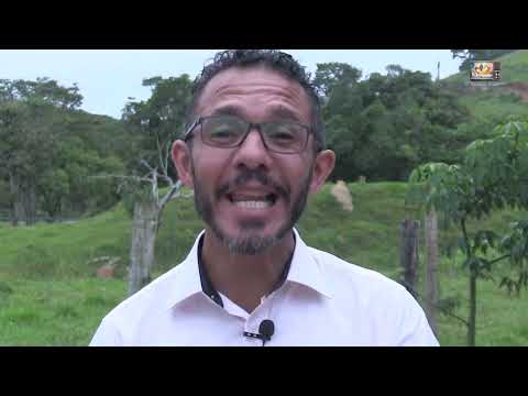 1762  -Jesus foi ao deserto para refletir em Sua missão.