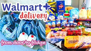 Walmart Grocery Shopping Haul//walmart plus delivery right to my door