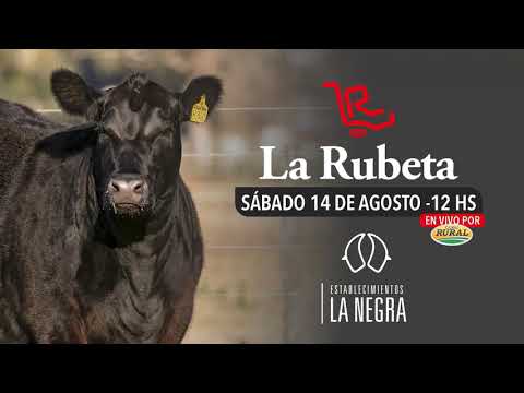 Próximo Remate de Cabaña La Rubeta - Sábado 14 de Agosto - Canal Rural