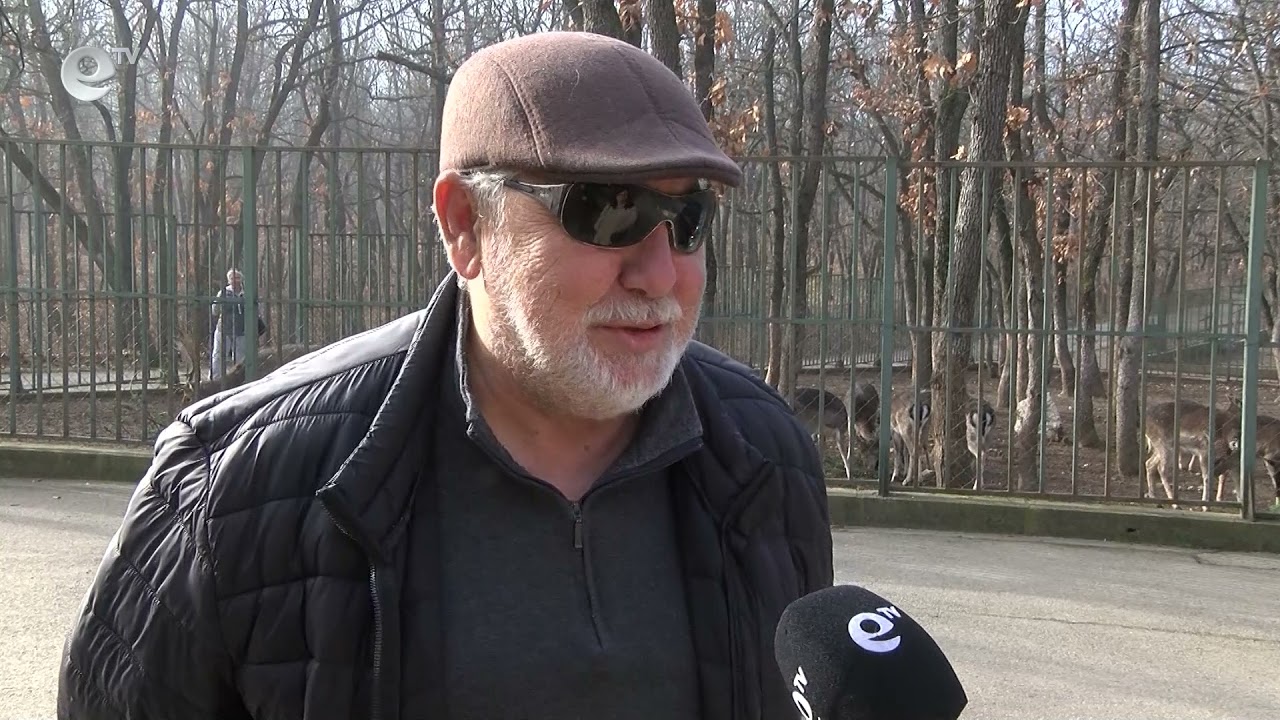 Стартира кампанията „Подари коледна елха – за някои животни тя е лакомство“