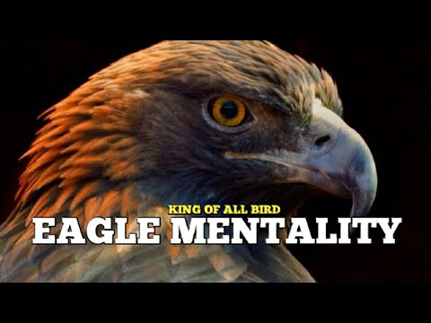 The Eagle Mentality | T.D Jakes |  Best Motivational video