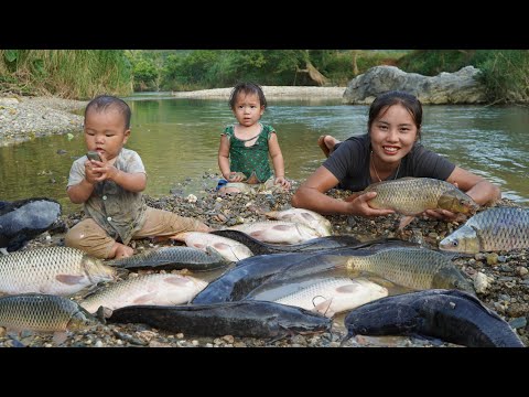 Encounter giant schools of fish blocking the water, catch fish and bring them to the market to sell