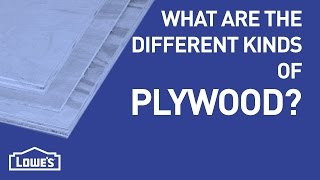 Which Plywood Should I Use | DIY Basics