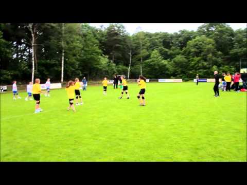 DSC Handbal Riek Pijnappel toernooi 9 juni 2012