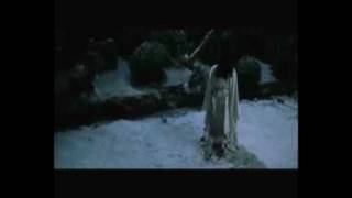 Struggle for Life ...