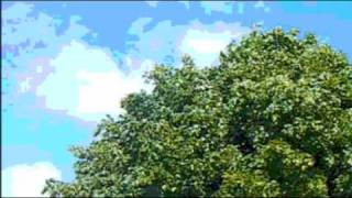 London Town by Simon Heath