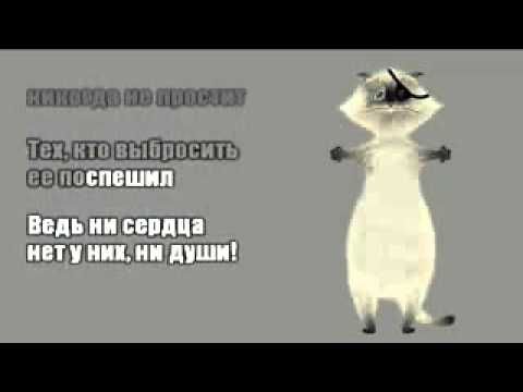 Кошка   Дeтcкий xop  Beликaн ( караоке )