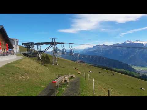 Seilbahn/Gondelbahn fährt in Richtung Bergstation Niederhorn BE