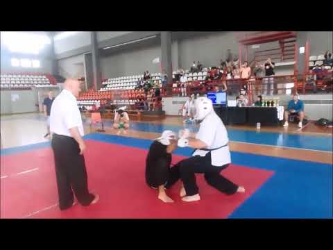 Serbian Kudo Championship (Japanese MMA) 2015 - Finals - Vladimir Stevanović vs Bojan Poskuričić