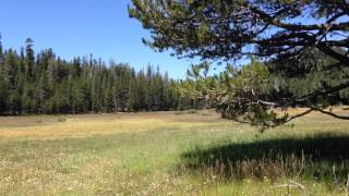 My playground today for Tenkara action