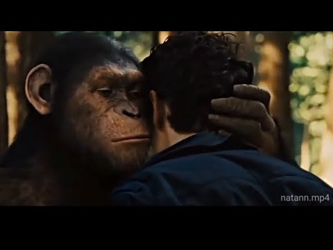 Meme pinjam dulu seratus