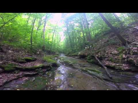 140701 A Short Visit To The Creek