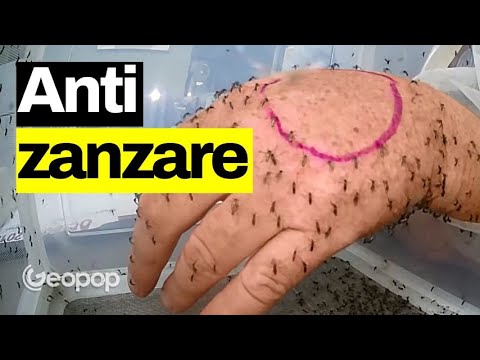 Quali antizanzare funzionano meglio? Zampironi, spray: analizziamoli dal punto di vista chimico