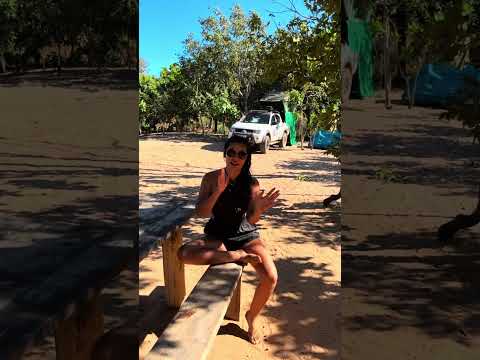 Praia do Pequizeiro - Lavandeira TO