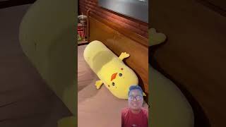 Download lagu Bantal dan Guling nya Lucu ya 😍🐥 #kawaiiplush #funny #kawaiiplushies #cuteplush #shorts #fyp mp3