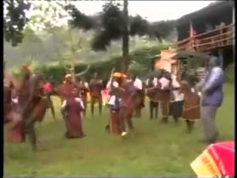 free party in affrica