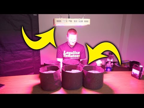 The minimum Equipment to grow Marijuana Indoors