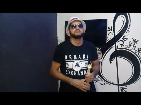 Flauta Doce - Viciou Na Flauta - Mc Mari
