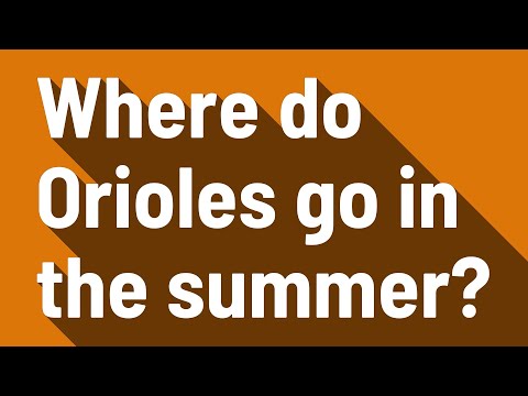 Where do Orioles go in the summer?