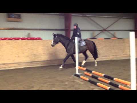 Diamond Cay "Sture" hoppar