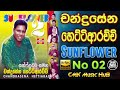 චන්ද්‍රසේන හෙට්ටිආරච්චි With Sunflower No 02 Full Album 