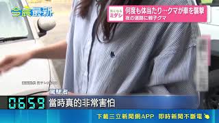 赴日觀光注意 北海道爆母熊猛烈攻擊車輛 15秒撲撞3次 引擎蓋凹陷破洞 母熊突加速撲壓車輛｜三立新聞網 SETN.com