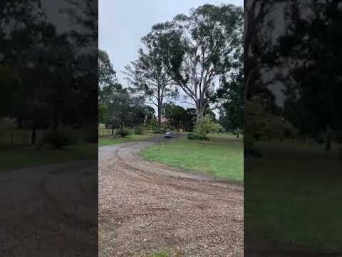 Thumbnail for 1971 Honda z360 first drive since 1991 by Honda Z
