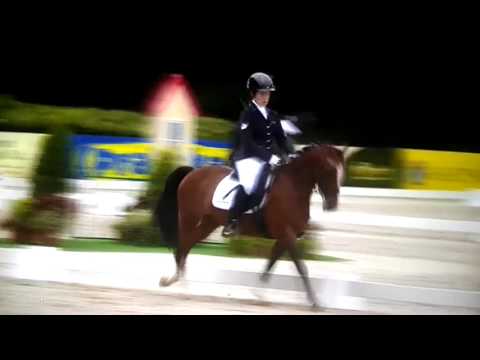 Nikola Feherova - Kimberly - European Championships for Ponies 2017