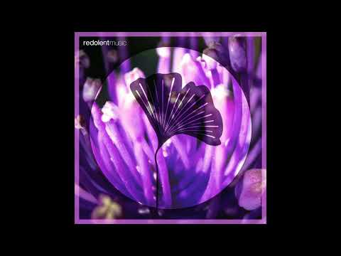 Darksidevinyl, Mariøsh - Jameela (Original Mix)