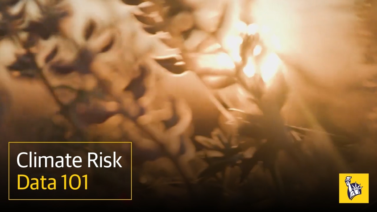 Climate Risk Data 101: Understanding Climate Risk Models