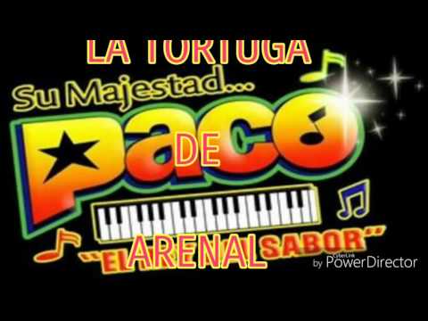 Paco Y Sus Teclados Presentación, Son Calenda, La Tortuga de Arenal En Vivo