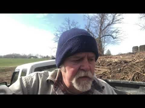 Moving my grape vine