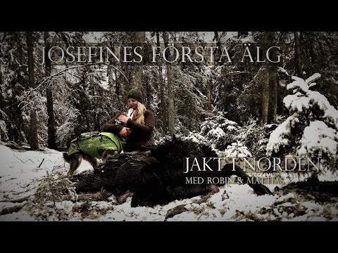 Jakt i Norden - Josefines första älg