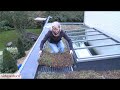 Toiture végétale instantanée 60x40 cm | video 1