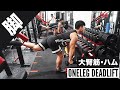 ワンレッグ(シングル・片足)デッドリフトの解説です◎ 【ダンベルver】