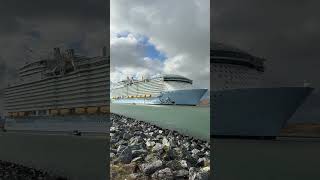 Utopia of the Seas sounding her horn! #shorts #utopiaoftheseas #portcanaveral #cruiseship