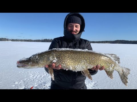 AHVENEN JA HAUEN PILKINTÄ // BANAANIN JÄÄLLÄ!