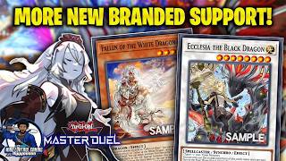 **** BRANDED SUPPORT IS ACTUALLY PRETTY GOOD!!!**** Branded Support Order Of The New World Ranked