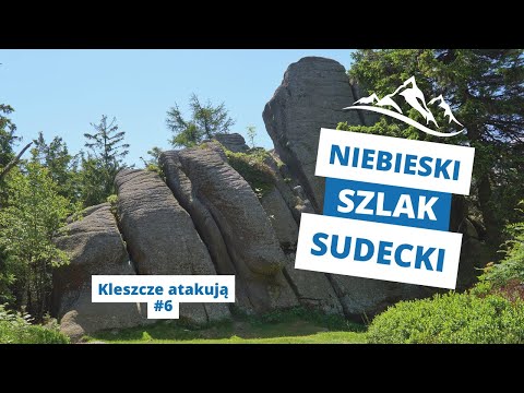 Niebieski Szlak Sudecki #6: Kleszcze atakują