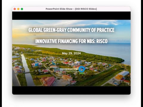 Global Green-Gray Community of Practice | Conservation International
