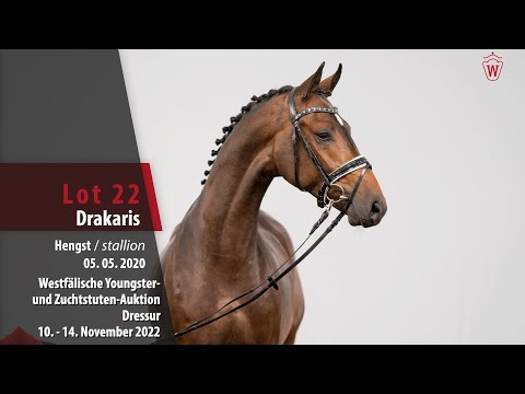 Online-Auktion Lot 22 Drakaris Hengst v. Dancier Gold - Antango