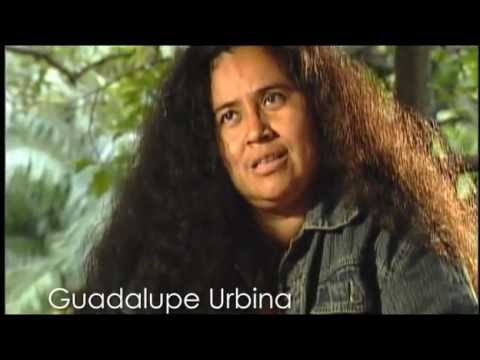 Guadalupe Urbina- Un viaje al Guanacaste profundo