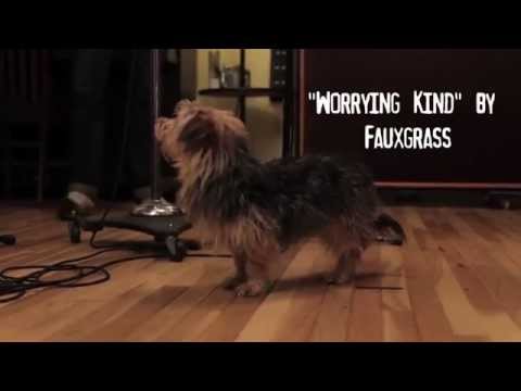 Fauxgrass - Worrying Kind