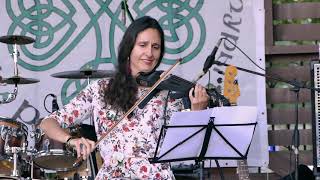 Andy M. Stewart tribute quartet - My Love is Like a Red Red Rose (by Robert Burns).