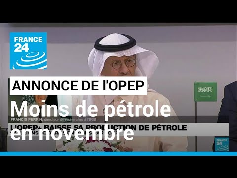 L'OPEP+ baisse sa production de pétrole • FRANCE 24